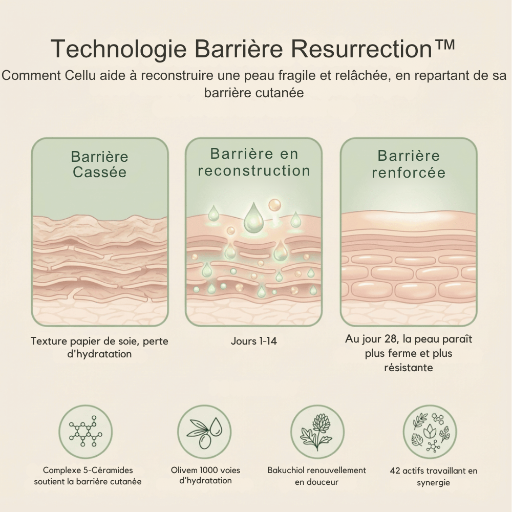 Crème Raffermissante Intense OceAura